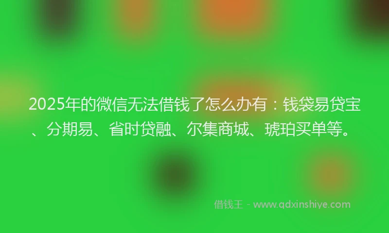 2025年的微信无法借钱了怎么办有：钱袋易贷宝、分期易、省时贷融、尔集商城、琥珀买单等。