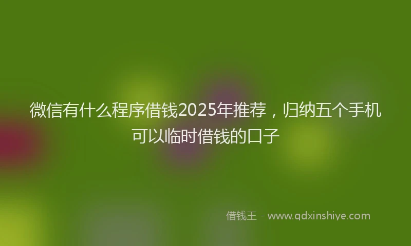 微信有什么程序借钱2025年推荐，归纳五个手机可以临时借钱的口子