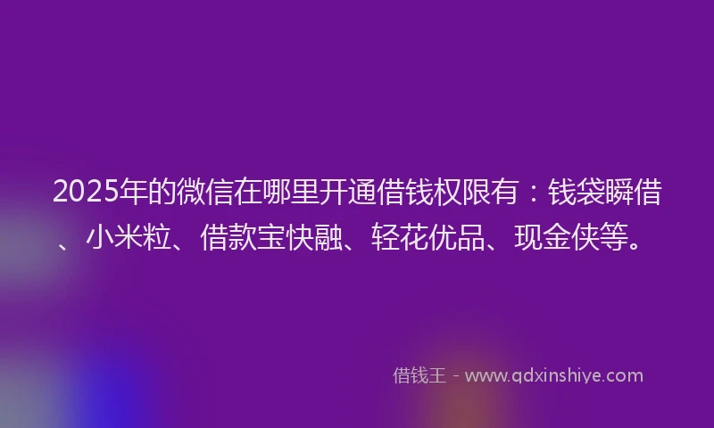 2025年的微信在哪里开通借钱权限有：钱袋瞬借、小米粒、借款宝快融、轻花优品、现金侠等。