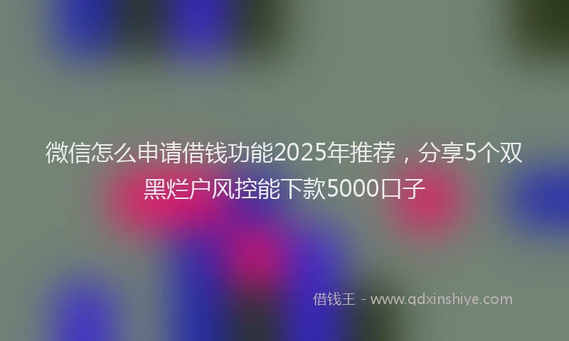 微信怎么申请借钱功能2025年推荐，分享5个双黑烂户风控能下款5000口子
