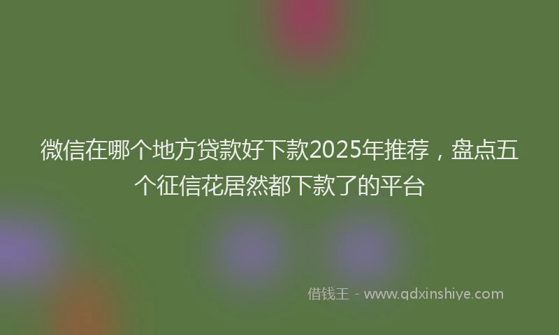 微信在哪个地方贷款好下款2025年推荐，盘点五个征信花居然都下款了的平台