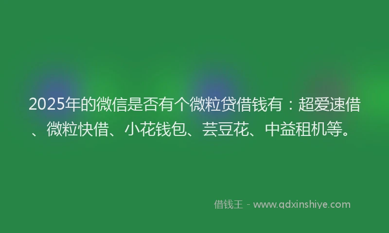 2025年的微信是否有个微粒贷借钱有：超爱速借、微粒快借、小花钱包、芸豆花、中益租机等。