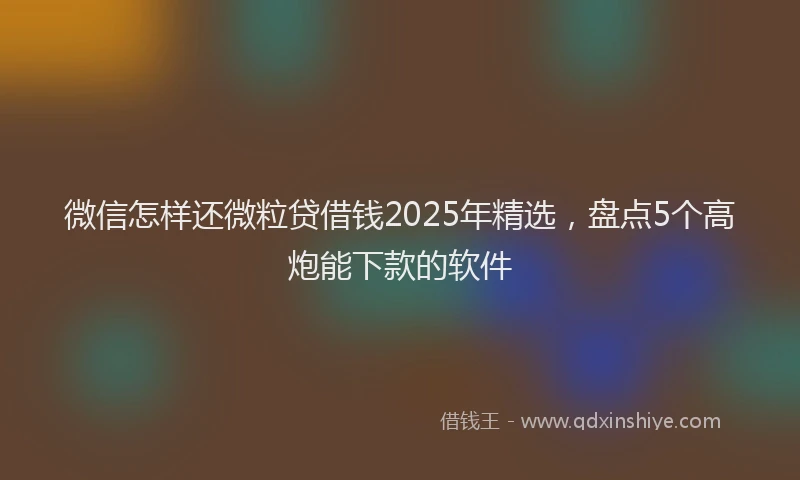 微信怎样还微粒贷借钱2025年精选，盘点5个高炮能下款的软件