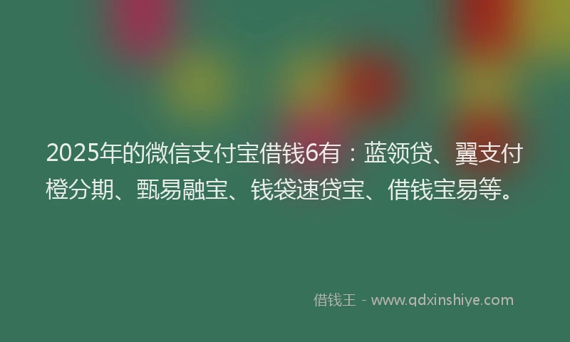 2025年的微信支付宝借钱6有：蓝领贷、翼支付橙分期、甄易融宝、钱袋速贷宝、借钱宝易等。