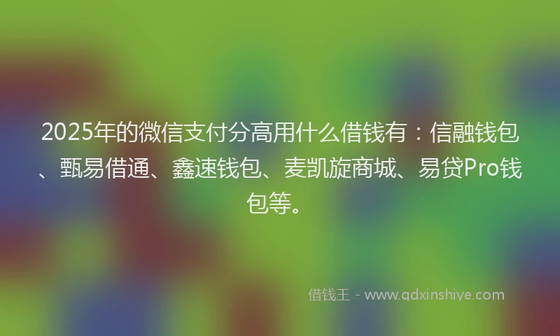 2025年的微信支付分高用什么借钱有：信融钱包、甄易借通、鑫速钱包、麦凯旋商城、易贷Pro钱包等。