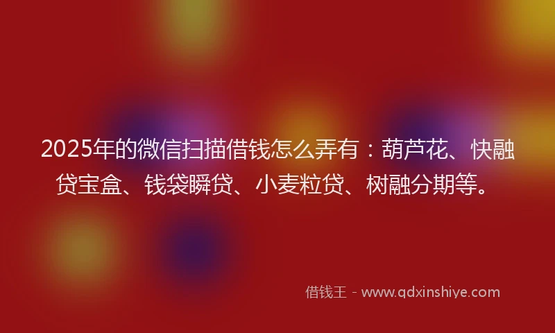 2025年的微信扫描借钱怎么弄有：葫芦花、快融贷宝盒、钱袋瞬贷、小麦粒贷、树融分期等。