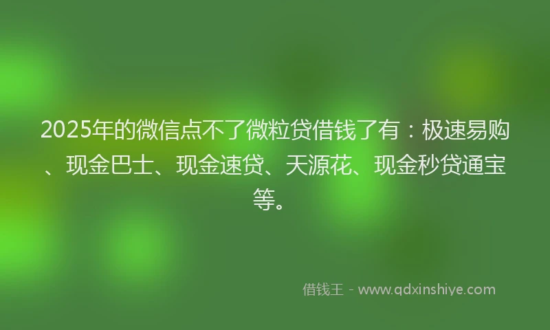 2025年的微信点不了微粒贷借钱了有：极速易购、现金巴士、现金速贷、天源花、现金秒贷通宝等。
