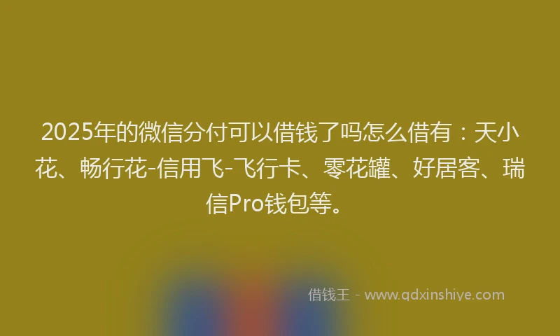 2025年的微信分付可以借钱了吗怎么借有：天小花、畅行花-信用飞-飞行卡、零花罐、好居客、瑞信Pro钱包等。