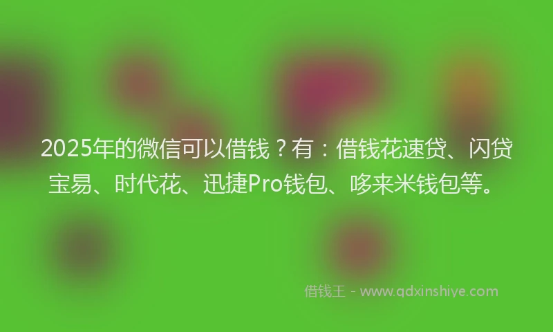 2025年的微信可以借钱？有：借钱花速贷、闪贷宝易、时代花、迅捷Pro钱包、哆来米钱包等。
