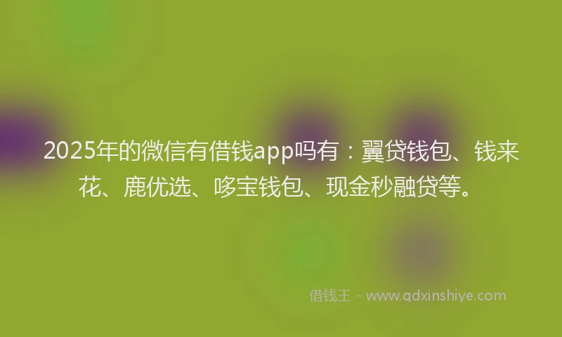 2025年的微信有借钱app吗有：翼贷钱包、钱来花、鹿优选、哆宝钱包、现金秒融贷等。