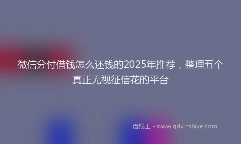 微信分付借钱怎么还钱的2025年推荐，整理五个真正无视征信花的平台