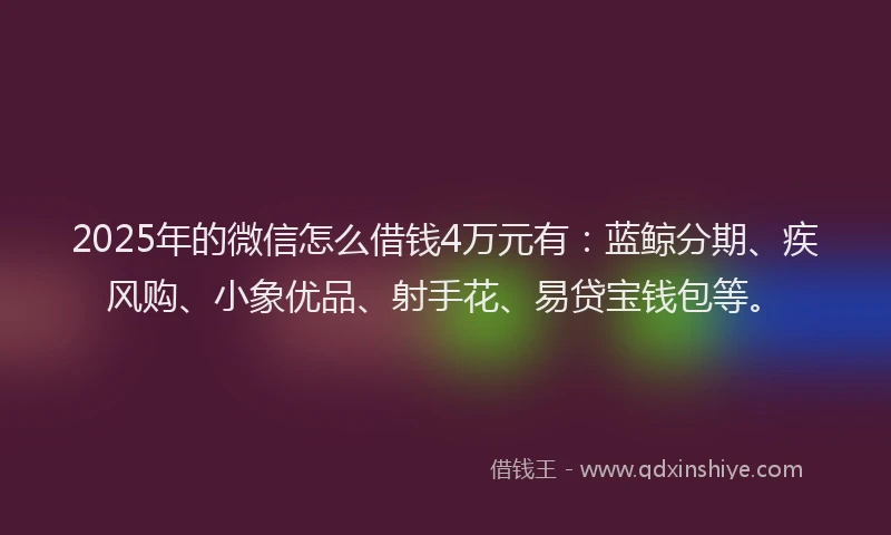 2025年的微信怎么借钱4万元有：蓝鲸分期、疾风购、小象优品、射手花、易贷宝钱包等。