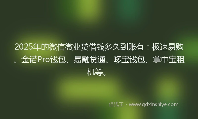 2025年的微信微业贷借钱多久到账有：极速易购、金诺Pro钱包、易融贷通、哆宝钱包、掌中宝租机等。