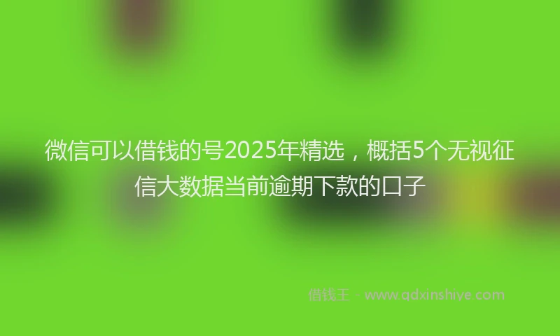 微信可以借钱的号2025年精选，概括5个无视征信大数据当前逾期下款的口子