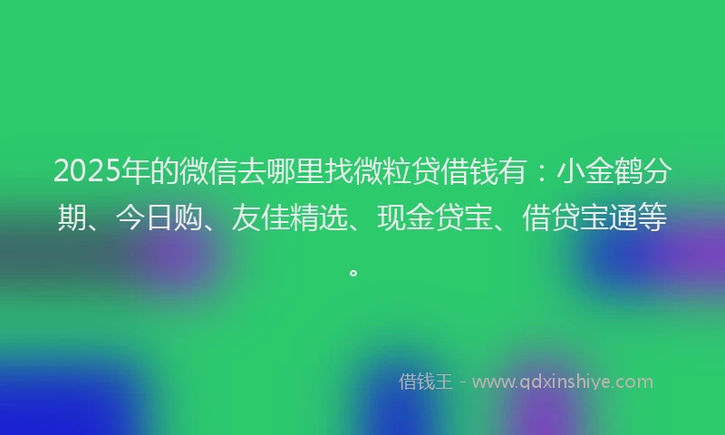 2025年的微信去哪里找微粒贷借钱有：小金鹤分期、今日购、友佳精选、现金贷宝、借贷宝通等。