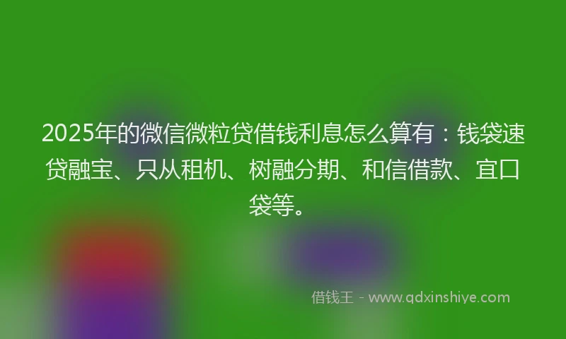 2025年的微信微粒贷借钱利息怎么算有：钱袋速贷融宝、只从租机、树融分期、和信借款、宜口袋等。
