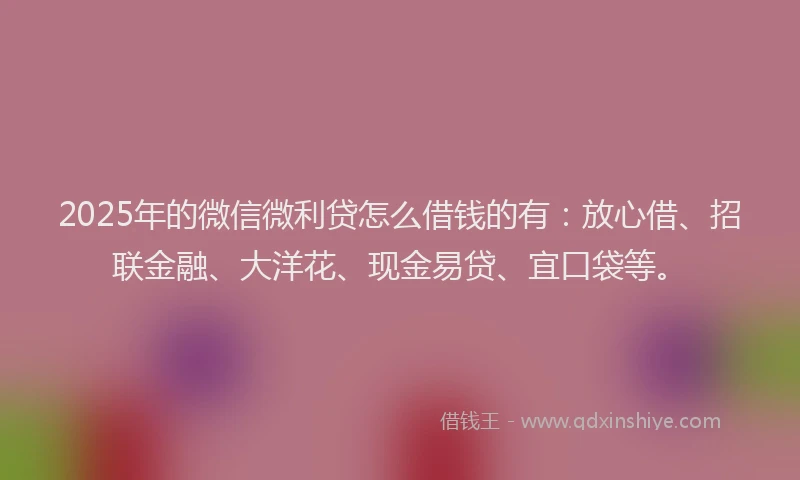 2025年的微信微利贷怎么借钱的有：放心借、招联金融、大洋花、现金易贷、宜口袋等。