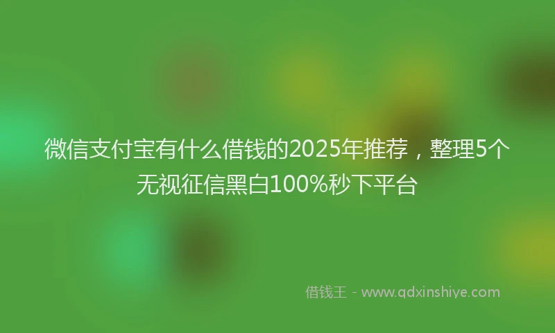 微信支付宝有什么借钱的2025年推荐，整理5个无视征信黑白100%秒下平台