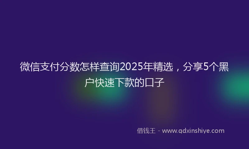 微信支付分数怎样查询2025年精选，分享5个黑户快速下款的口子