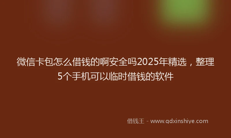 微信卡包怎么借钱的啊安全吗2025年精选，整理5个手机可以临时借钱的软件