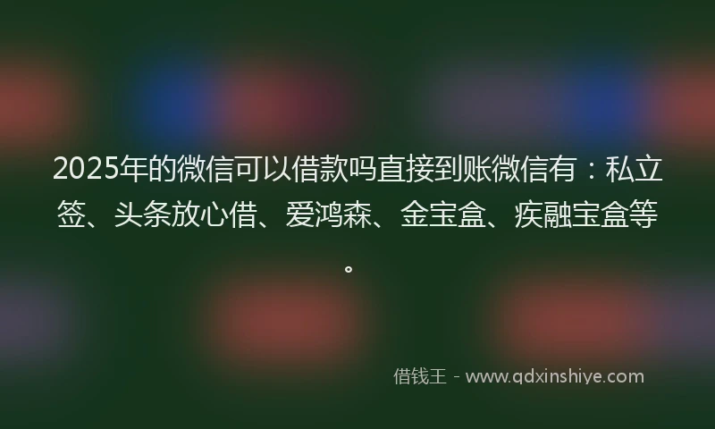 2025年的微信可以借款吗直接到账微信有：私立签、头条放心借、爱鸿森、金宝盒、疾融宝盒等。