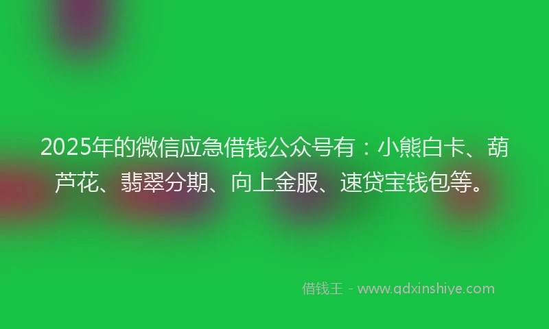 2025年的微信应急借钱公众号有：小熊白卡、葫芦花、翡翠分期、向上金服、速贷宝钱包等。