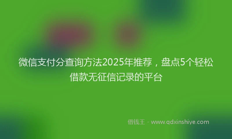 微信支付分查询方法2025年推荐，盘点5个轻松借款无征信记录的平台