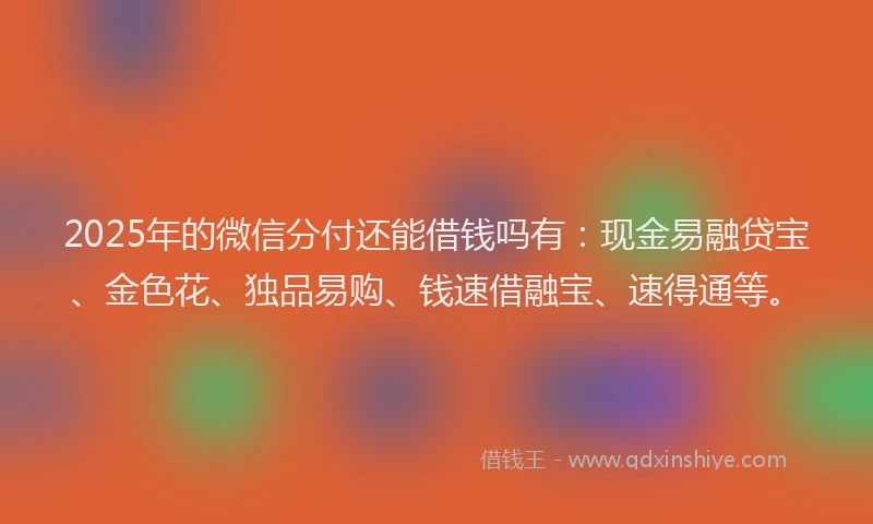 2025年的微信分付还能借钱吗有：现金易融贷宝、金色花、独品易购、钱速借融宝、速得通等。