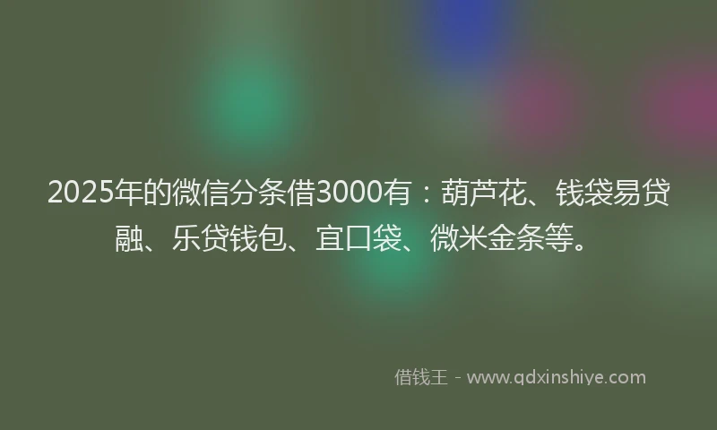 2025年的微信分条借3000有：葫芦花、钱袋易贷融、乐贷钱包、宜口袋、微米金条等。