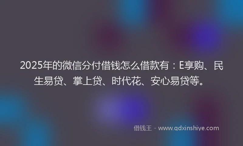 2025年的微信分付借钱怎么借款有：E享购、民生易贷、掌上贷、时代花、安心易贷等。