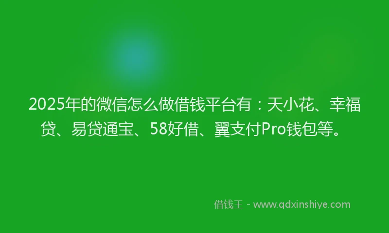 2025年的微信怎么做借钱平台有：天小花、幸福贷、易贷通宝、58好借、翼支付Pro钱包等。