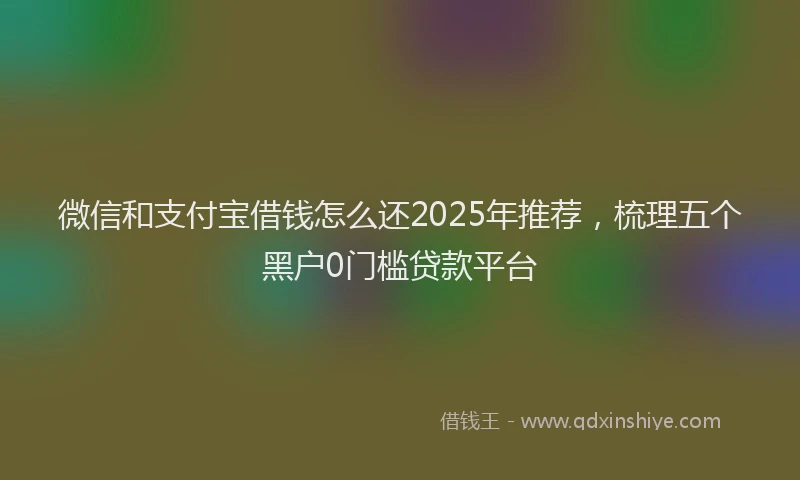 微信和支付宝借钱怎么还2025年推荐，梳理五个黑户0门槛贷款平台