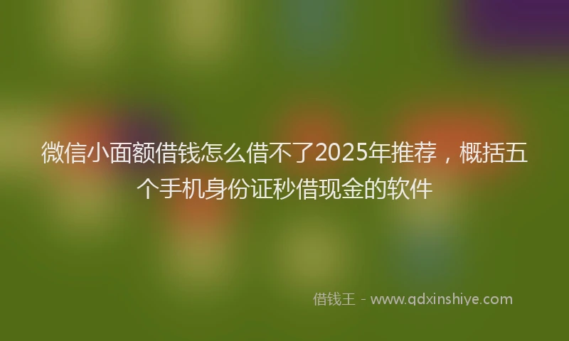 微信小面额借钱怎么借不了2025年推荐，概括五个手机身份证秒借现金的软件