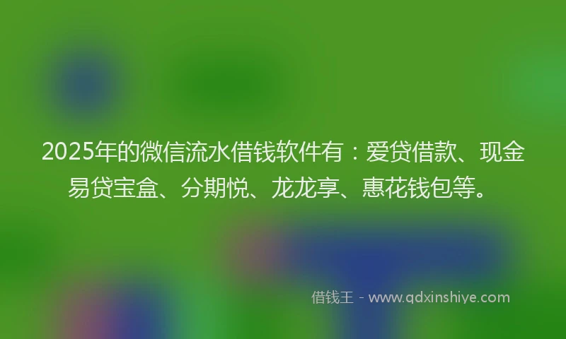2025年的微信流水借钱软件有：爱贷借款、现金易贷宝盒、分期悦、龙龙享、惠花钱包等。