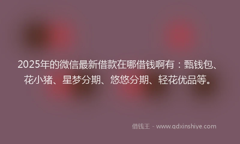2025年的微信最新借款在哪借钱啊有：甄钱包、花小猪、星梦分期、悠悠分期、轻花优品等。