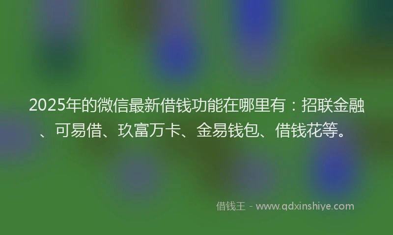 2025年的微信最新借钱功能在哪里有：招联金融、可易借、玖富万卡、金易钱包、借钱花等。