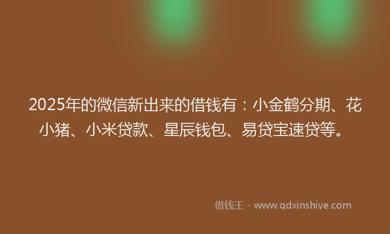 2025年的微信新出来的借钱有：小金鹤分期、花小猪、小米贷款、星辰钱包、易贷宝速贷等。