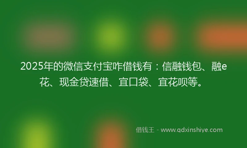 2025年的微信支付宝咋借钱有：信融钱包、融e花、现金贷速借、宜口袋、宜花呗等。