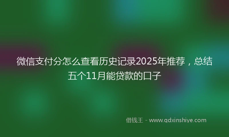 微信支付分怎么查看历史记录2025年推荐，总结五个11月能贷款的口子