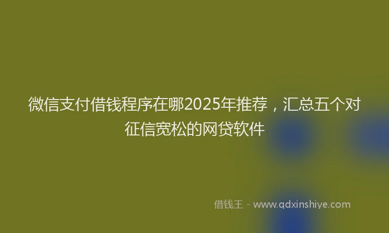 微信支付借钱程序在哪2025年推荐，汇总五个对征信宽松的网贷软件