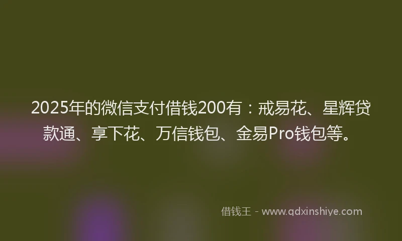 2025年的微信支付借钱200有：戒易花、星辉贷款通、享下花、万信钱包、金易Pro钱包等。