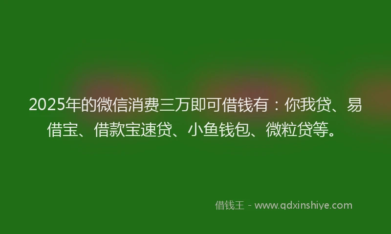 2025年的微信消费三万即可借钱有：你我贷、易借宝、借款宝速贷、小鱼钱包、微粒贷等。