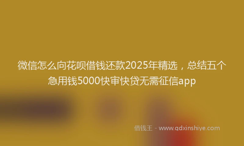 微信怎么向花呗借钱还款2025年精选，总结五个急用钱5000快审快贷无需征信app