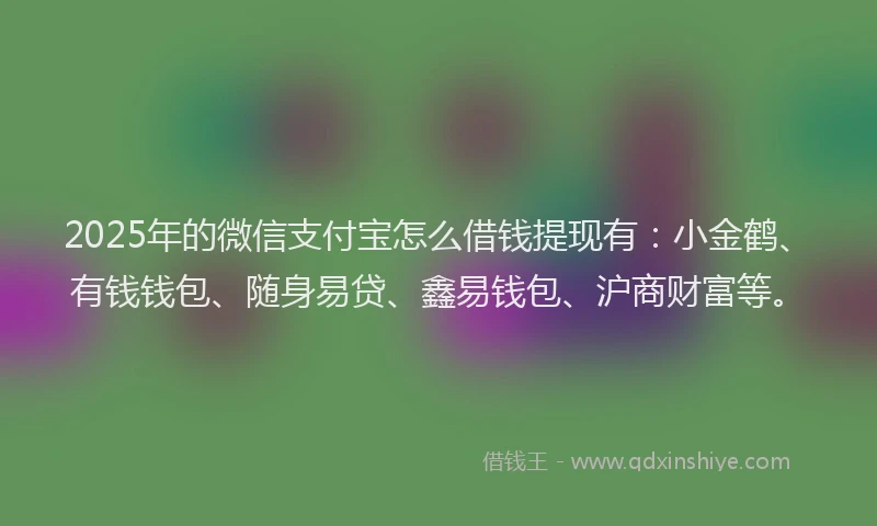 2025年的微信支付宝怎么借钱提现有：小金鹤、有钱钱包、随身易贷、鑫易钱包、沪商财富等。