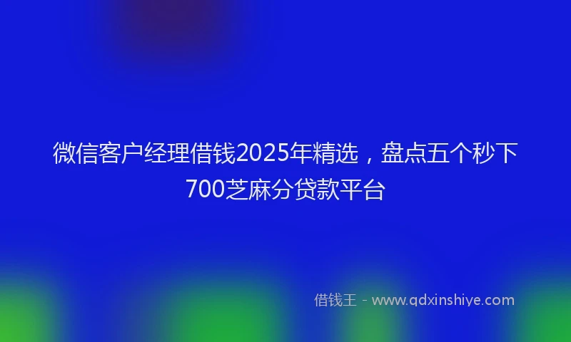 微信客户经理借钱2025年精选，盘点五个秒下700芝麻分贷款平台