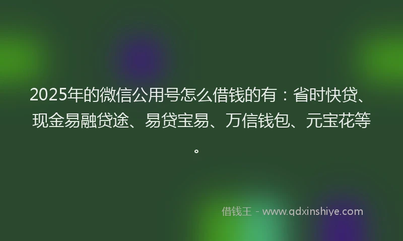 2025年的微信公用号怎么借钱的有：省时快贷、现金易融贷途、易贷宝易、万信钱包、元宝花等。