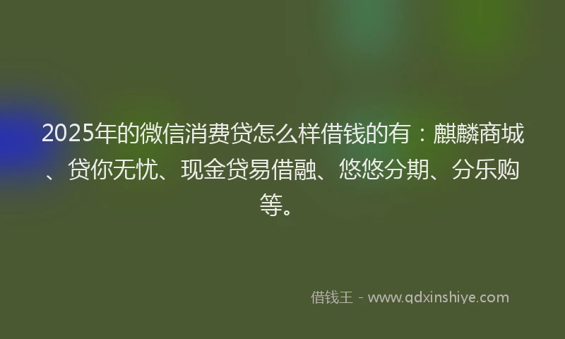 2025年的微信消费贷怎么样借钱的有：麒麟商城、贷你无忧、现金贷易借融、悠悠分期、分乐购等。