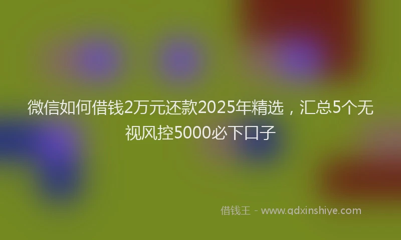 微信如何借钱2万元还款2025年精选，汇总5个无视风控5000必下口子