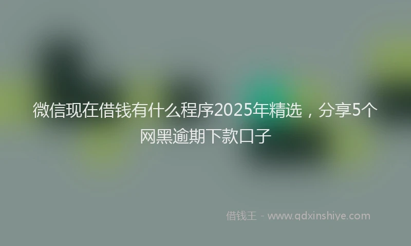 微信现在借钱有什么程序2025年精选，分享5个网黑逾期下款口子