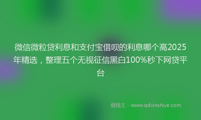 微信微粒贷利息和支付宝借呗的利息哪个高2025年精选，整理五个无视征信黑白100%秒下网贷平台